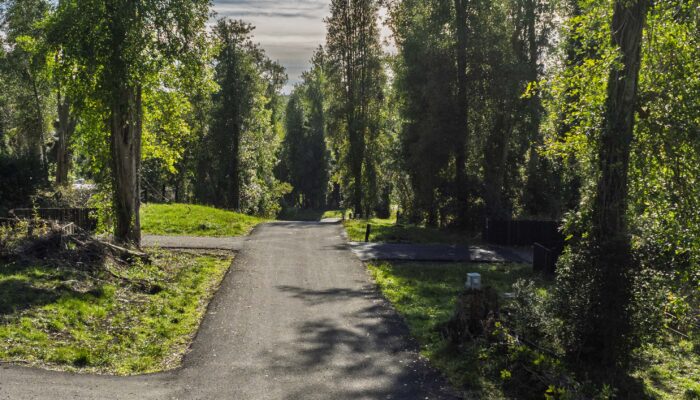 Caminos asfaltados de alto estándar entre bosque nativo en Nativo Punta Larga