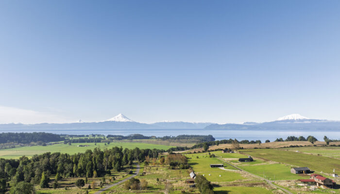 Volcán Osorno con nieve visto desde bosque nativo de Nativo Punta Larga