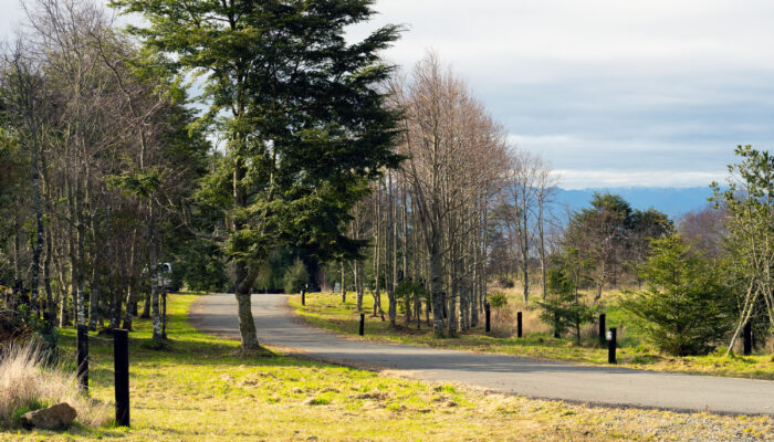 Caminos asfaltados de alto estándar entre parcelas premium en Nativo Punta Larga, Frutillar